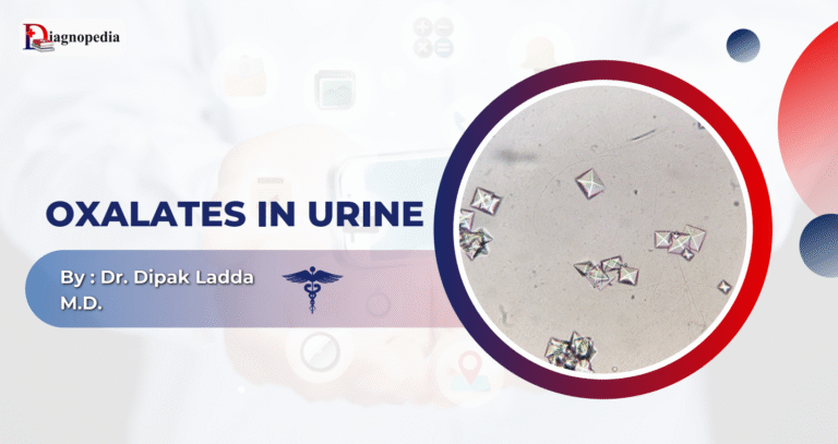 Oxalates in urine