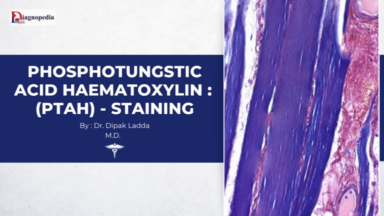 Phosphotungstic acid haematoxylin (PTAH)- Staining