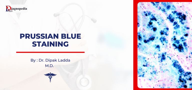 Prussian Blue Staining