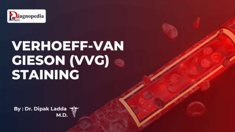 Verhoeff-Van Gieson (VVG Staining)