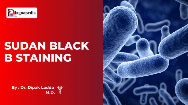 Sudan Black B Staining