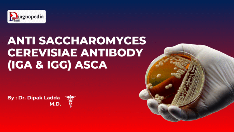 Anti Saccharomyces Cerevisiae Antibody (IgA & IgG) ASCA