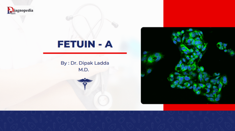 Fetuin - A