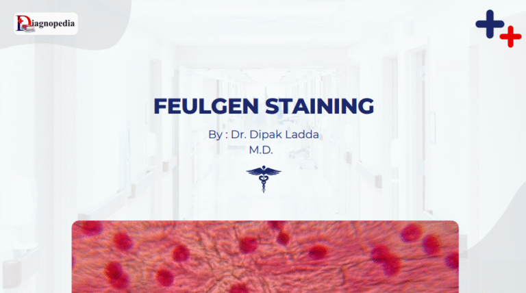 Feulgen Staining