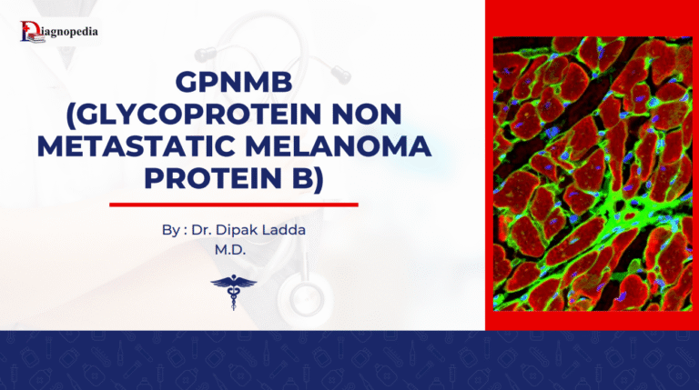 GPNMB (Glycoprotein Non Metastatic Melanoma Protein B)