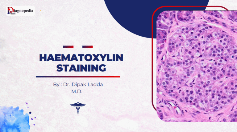 Haematoxylin Staining