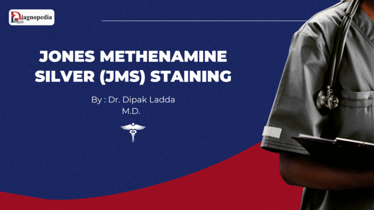 Jones Methenamine Silver (JMS) Staining