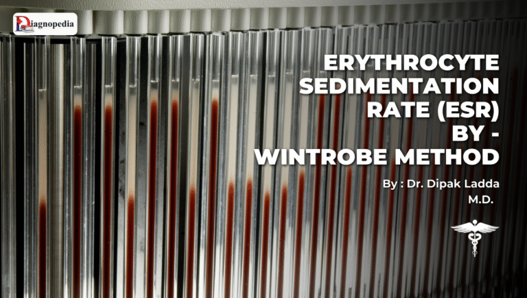 ESR by the Wintrobe method