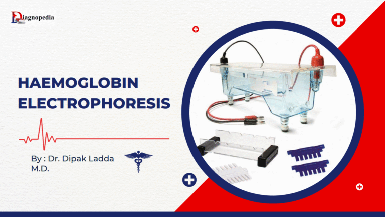 Haemoglobin Electrophoresis