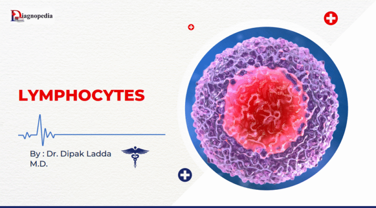 Lymphocytes