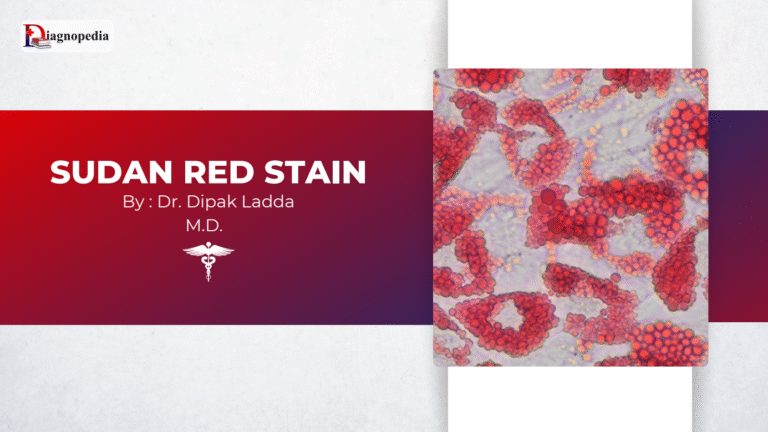 Sudan Red Stain Test