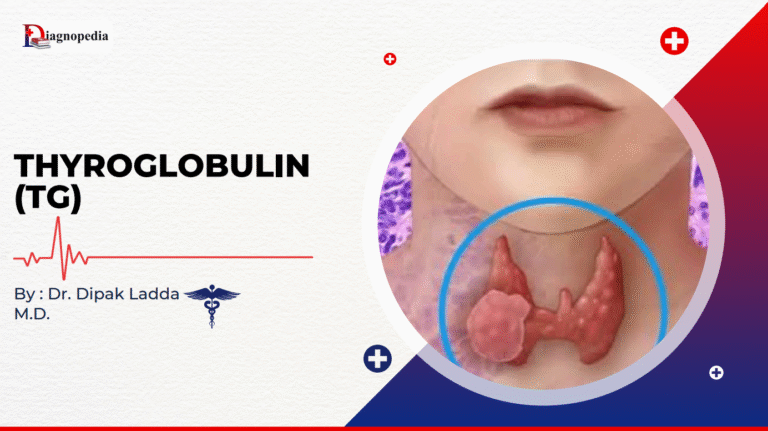 Thyroglobulin (TG)