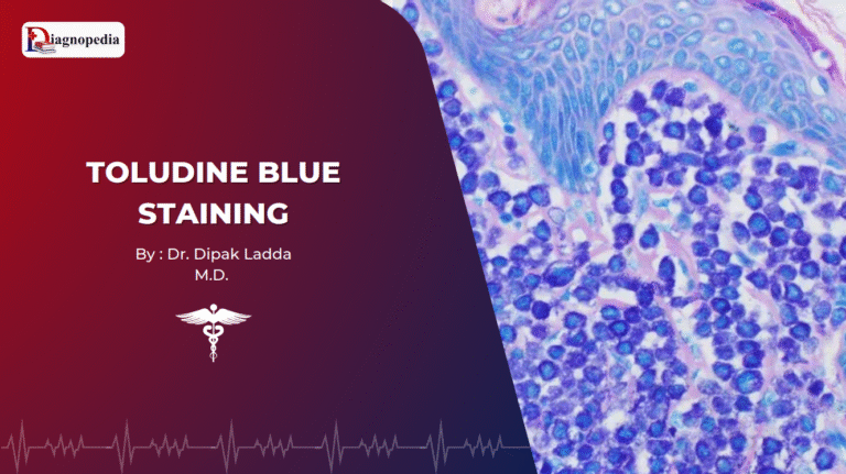 Toludine Blue Staining