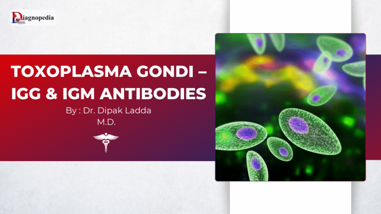 Toxoplasma Gondii - IGG & IGM Antibodies