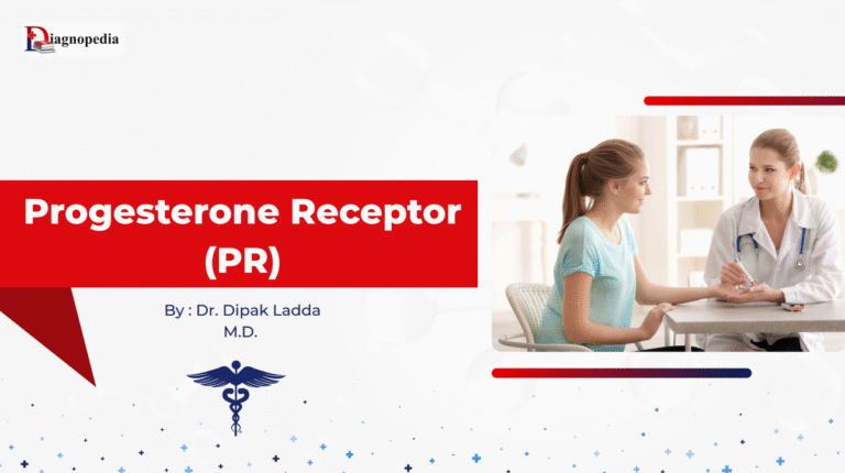 Progesterone Receptor (PR)