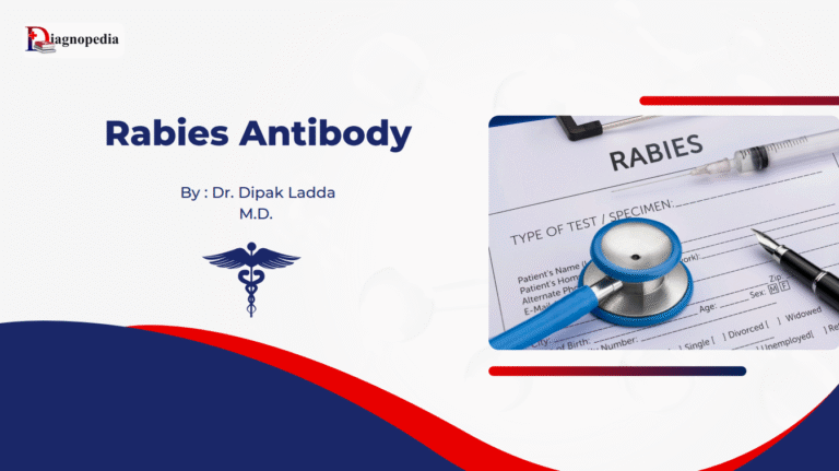 Rabies antibody