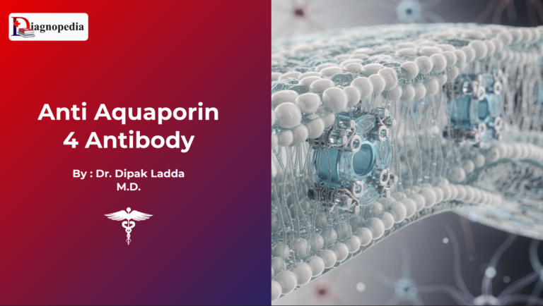 Anti-Aquaporin-4 Antibody (AQP4)
