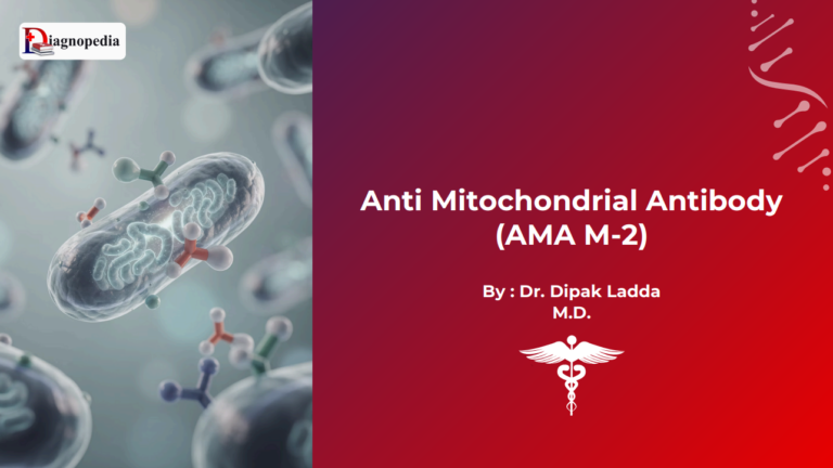 Anti-Mitochondrial Antibodies (AMA)