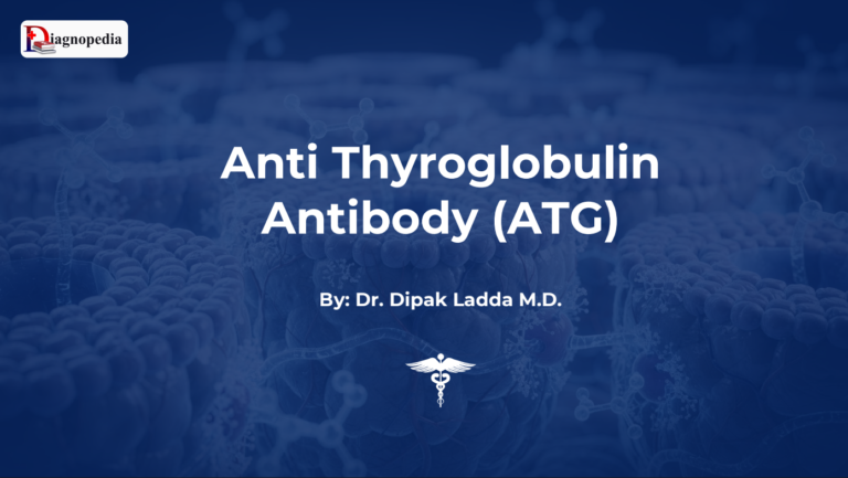 ATG ( Anti Thyroglobulin Antibody )