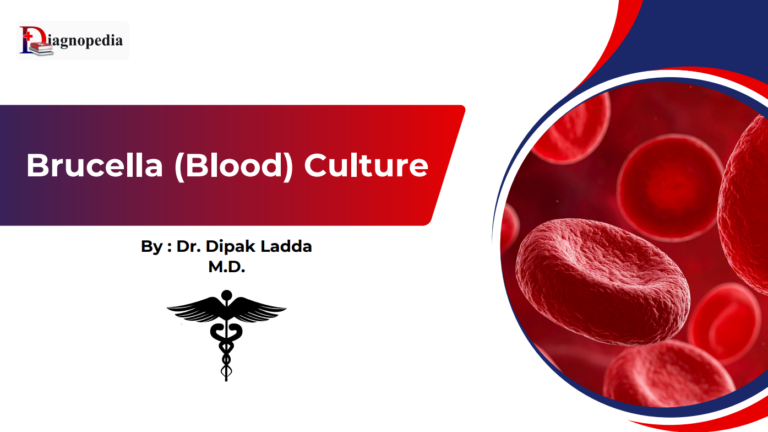 Brucella (Blood) Culture