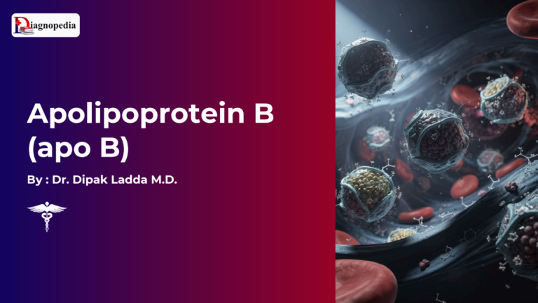 Apolipoprotein B (Apo B)