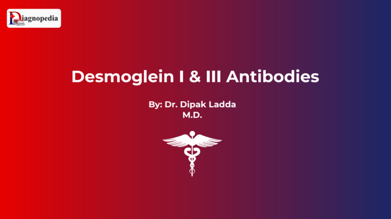 Desmoglein 1 & 3 antibody