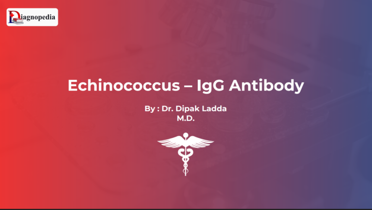 Echinococcus - IgG Antibody