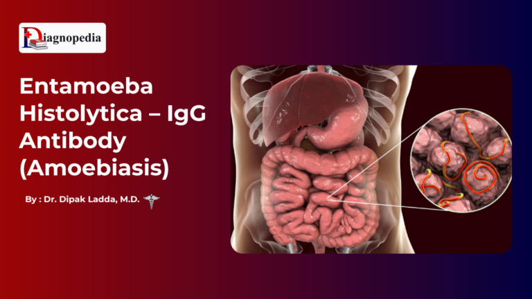 Entamoeba Histolytica – IgG Antibody (Amoebiasis)