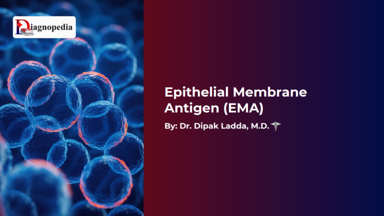 Epithelial Membrane Antigen