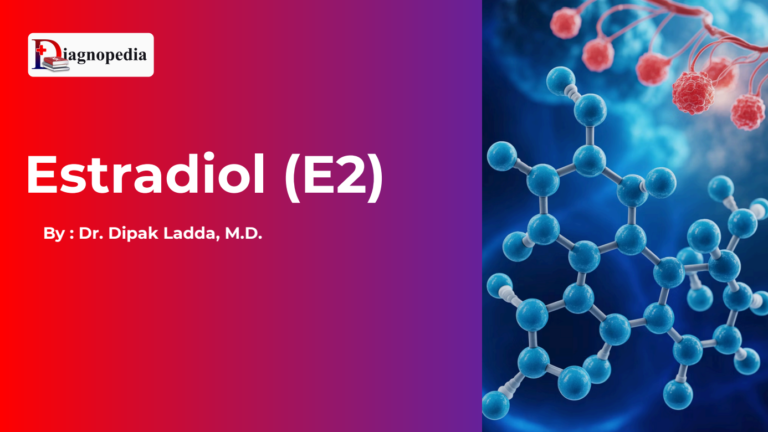 Estradiol (E2)