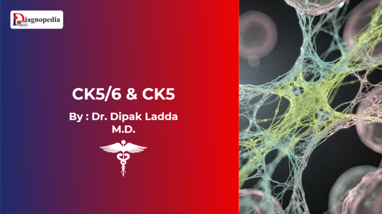 Cytokeratin 5 (CK5) and Cytokeratin 6 (CK6)
