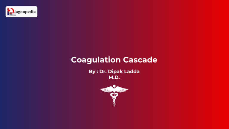 Coagulation Cascade