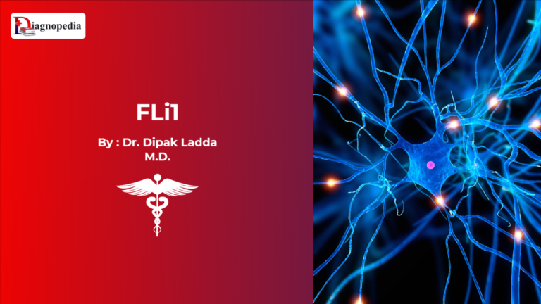 FLi1 (Friend leukemia integration 1)