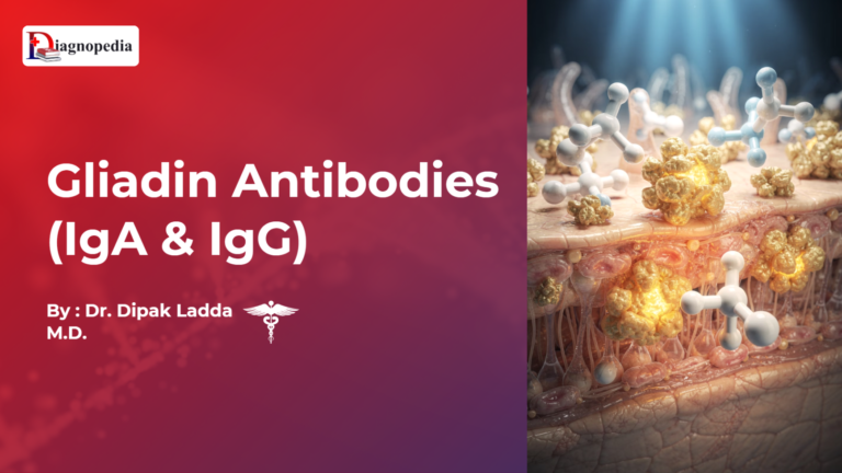Gliadin Antibodies (IgA & IgG)