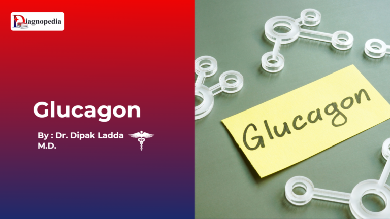 Glucagon