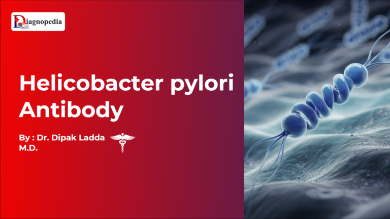 Helicobacter pylori Antibody