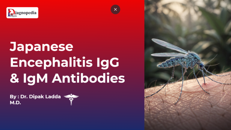 Japanese Encephalitis IgG & IgM Antibodies