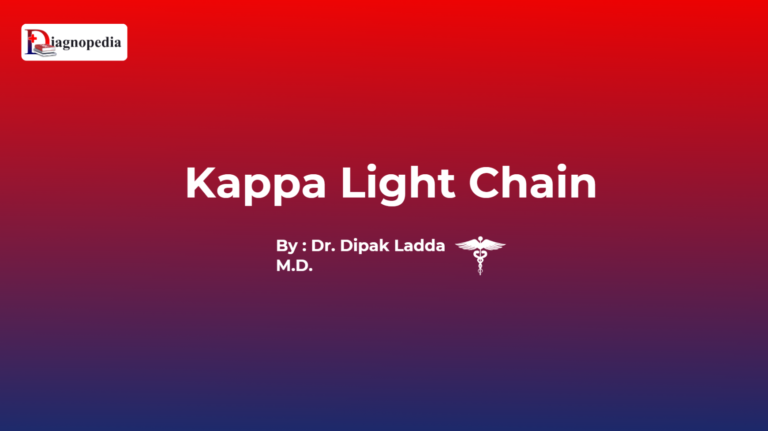 Kappa Light Chain