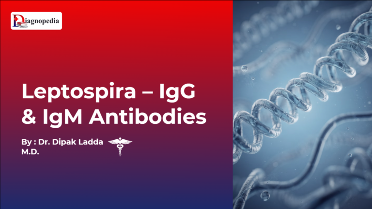 Leptospira IgG and IgM