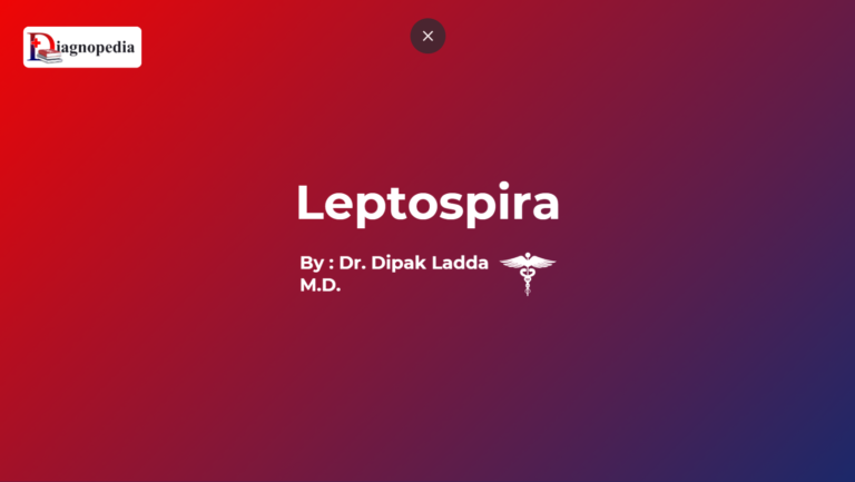 Leptospira