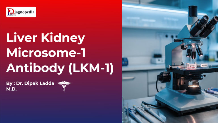 Liver Kidney Microsome-1 Antibody (LKM-1)