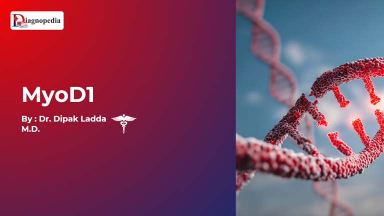 MyoD1