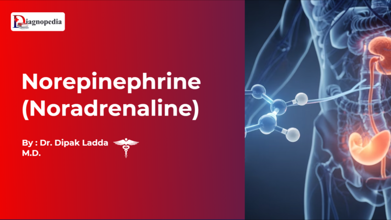 Norepinephrine (Noradrenaline)