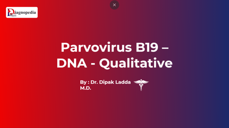 Parvovirus B19 – DNA – Qualitative