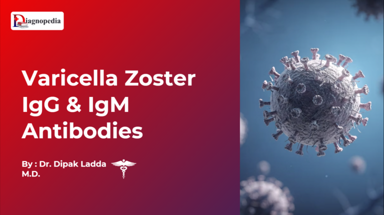 Varicella Zoster IgG & IgM Antibodies