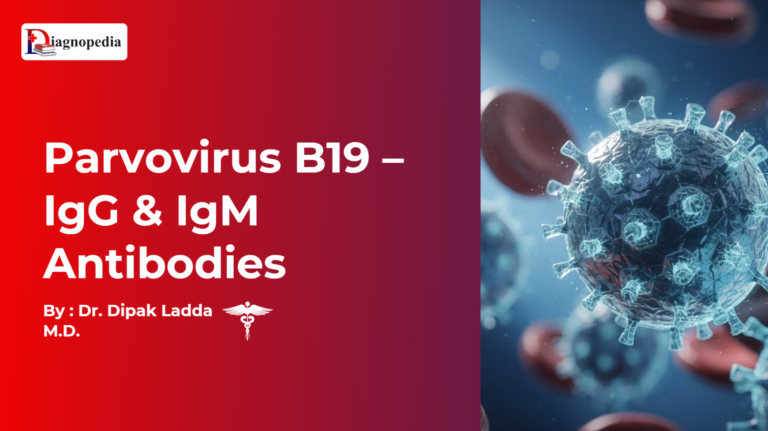 Parvovirus B19 – IgG & IgM Antibodies