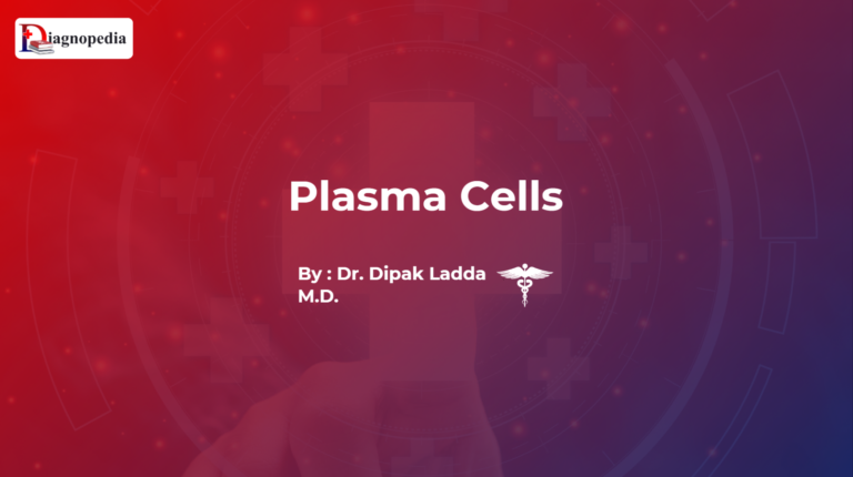 Plasma Cells