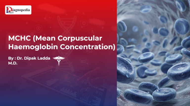 MCHC (Mean Corpuscular Haemoglobin Concentration)