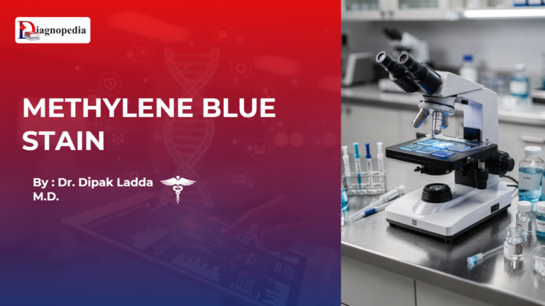 Methylene Blue Stain