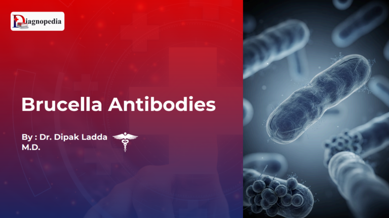 Brucella Antibodies
